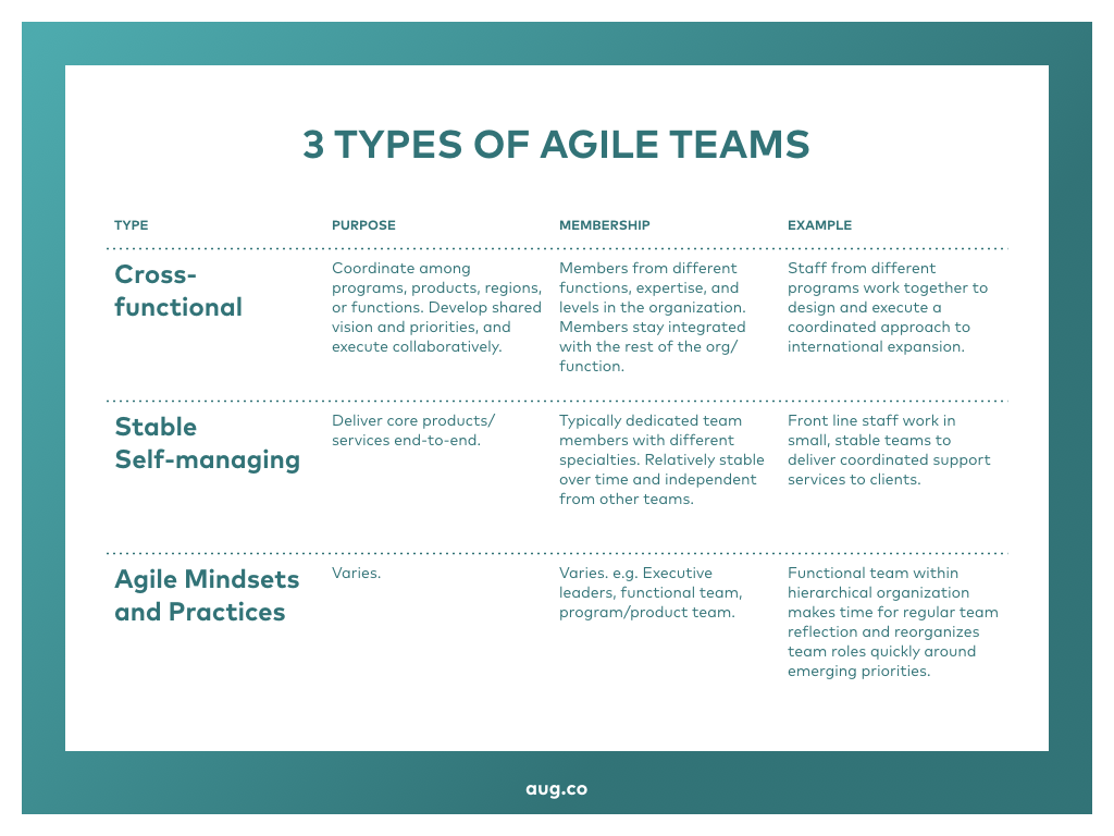 Three Types of Agile Teams